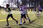 Junior mens 2025 Northern Cross Country Champs, Tatton Park, Knutsford, Cheshire. Photo: David T. Hewitson/Sports for All Pics